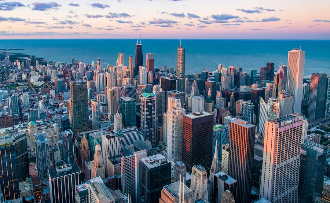 Chicago school management